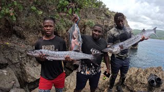 link up dive in Portland with @spearfishingbrother4 barracuda fi days catch clean & cook by pappy spearfishing adventure 6,669 views 10 days ago 24 minutes