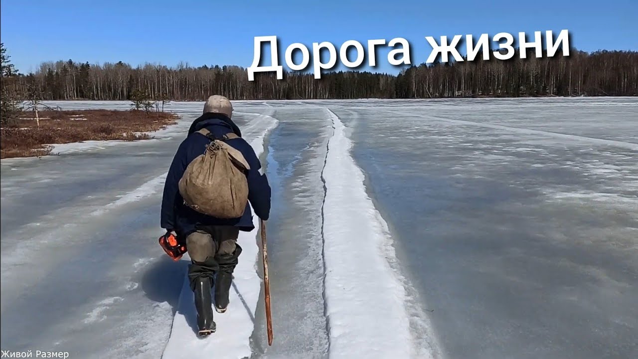 Живой лед том. Последний лед. Живой лёд 5. Цикл передач первый лед последний лед.