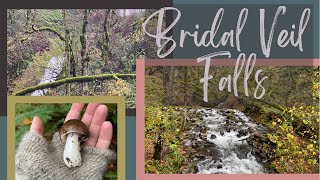 Bridal Veil Falls in Nov. (Zone 4: Wild Spaces for Community Use)