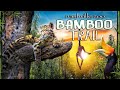 Zoo Tours: The Bamboo Trail | Nashville Zoo (2003)