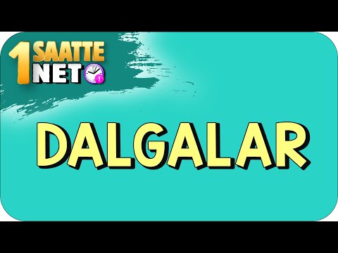 TYT Fizik Dalgalar | Temel Kavramlar ve Soru Çözümü |  | #Kamp2023