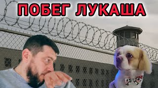 ПРОРВАЛСЯ ЧЕРЕЗ ЗАБОР ! / Штробы и розетки,  ремонт в доме в Германии