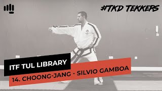 14. Choong-Jang (TKD Tekkers)