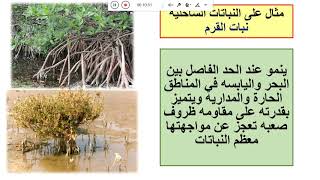 علم 201   انواع البيئات البحريه في مملكه البحرين   (ايمان الدقاق)