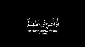 [ سَمَّاعُونَ لِلْكَذِبِ ] كروما شاشة سوداء قرآن - سورة المائدة | الشيخ د. ماهر المعيقلي