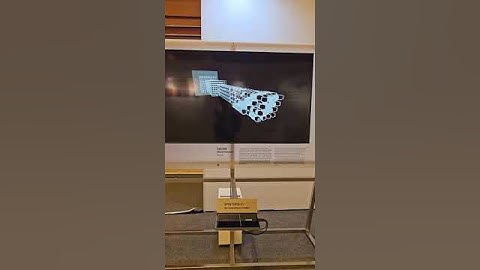 CNN (Convolutional Neural Network) Visualization