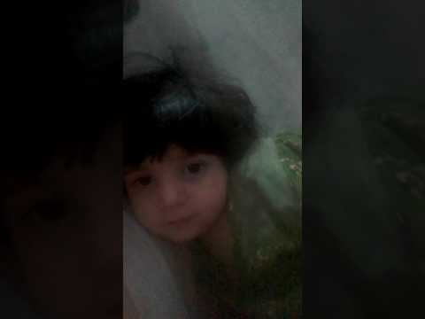 سجاد كامي
