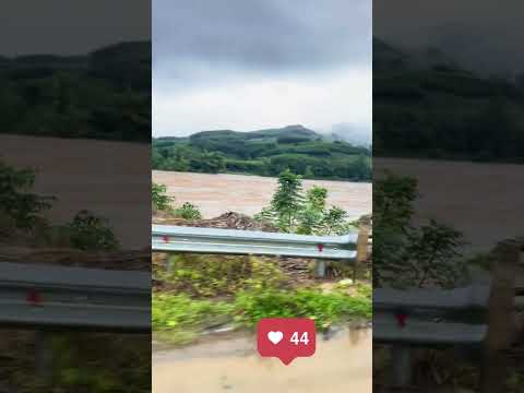 نبضات القلب الفيتنامية دليل السفر إلى فيتنام فيتنام فيروسي فيديو