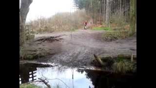 ste stream delamere forest