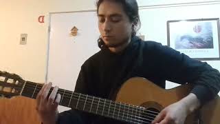 Wolfbrigade - Ride the steel(acoustic cover)