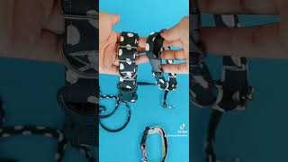 COLLARES para PERRO