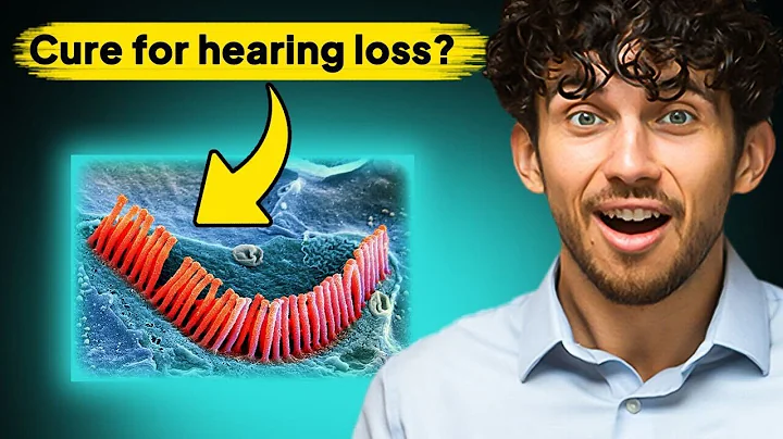 New Stanford Research Could REVERSE Hearing Loss and Tinnitus