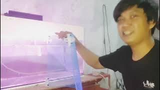 cara sekat aquarium arwana dengan bajet murah sekali