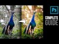 Complete Photoshop Guide: Blurring the Background and Adding Bokeh