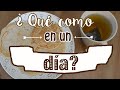 ¿Qué como en un día? Atrapatusueño