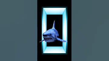 Holographic Shark In A Tank HoloSky 3D Shark Experience Like Never Before 