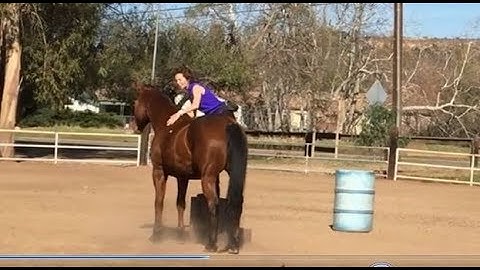 Train Your Horse to Run Up to Mounting Block