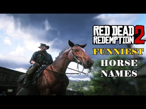 funniest-horse-names-in-red-dead-redemption-2