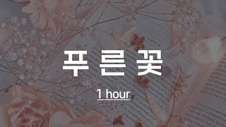 1시간 🎵 리아 (LIA) (ITZY) - 푸른꽃 (Blue Flower) (환혼 : 빛과 그림자 OST Part 1)  (가사 Lyrics)