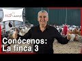 Conoce Finca Casarejo. Tercera parte