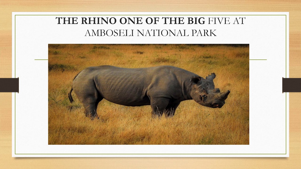 TOURISM IN KENYA