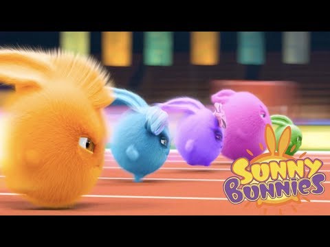 Cartoons For Children Sunny Bunnies SUNNY BUNNIES THE BIG RACE Funny Cartoons For Children