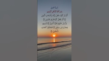 القرآن_الكريم سورة الفيل #علاء_عقل #قران_كريم #اكسبلور