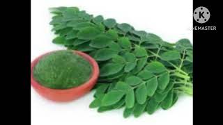 moringa leaves powder benefits,uses, dis advantages and how to order it