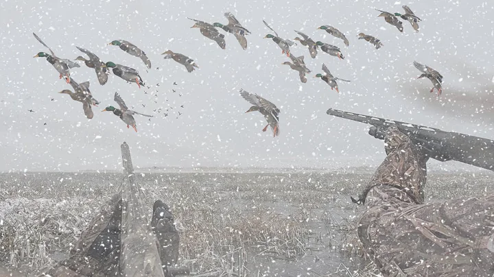 INSANE Blizzard Duck Hunt for Huge Mallards