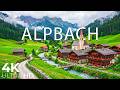 Alpbach 4K Emerald Valleys Silent Lakes The Soulful Calm Of The Alpine World Nature S Wonder 