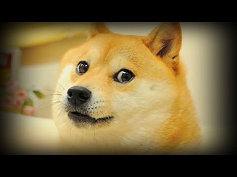 Rest in Peace, Doge