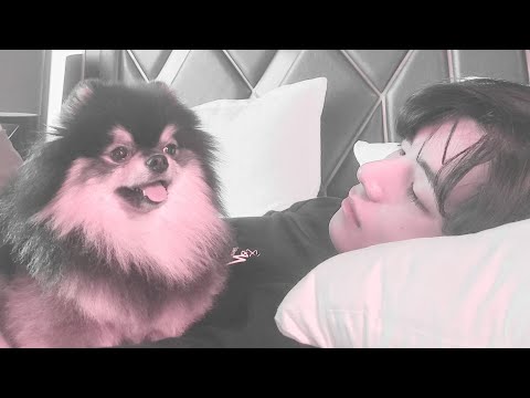 Durmiendo con Taehyung — Ft Yoongi tocando Guitarra — ASMR (No talking) — Min Yoongi Meow