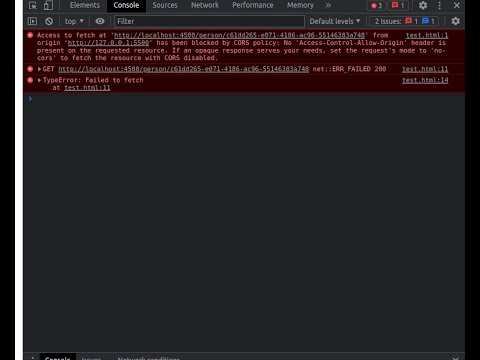 17. fix cors with express js