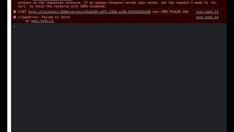 17. fix cors with express js