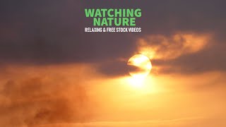 Sun hidden behind clouds, a few flying birds | Nature Watching | Sky | 4K Free stock video footage
