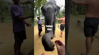 Вайб Таиланда thailand phuket travel beach sea отдых отпуск отдыхе
