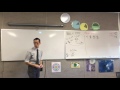 Rates of Change in Cone Geometry