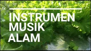 Instrumen Tanaman Non Stop 2 JAM *Menenangkan*