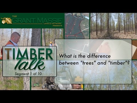 Vídeo: Qual o tamanho das árvores de loblolly?