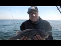 Blackfish slam with jersey justin and capt joey leggio