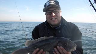 Blackfish Slam with Jersey Justin and Capt. Joey Leggio