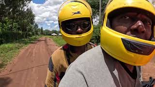 Excitement at the big pasture- work & lessons- how a man attain a wife in Nyabohance’s culture!