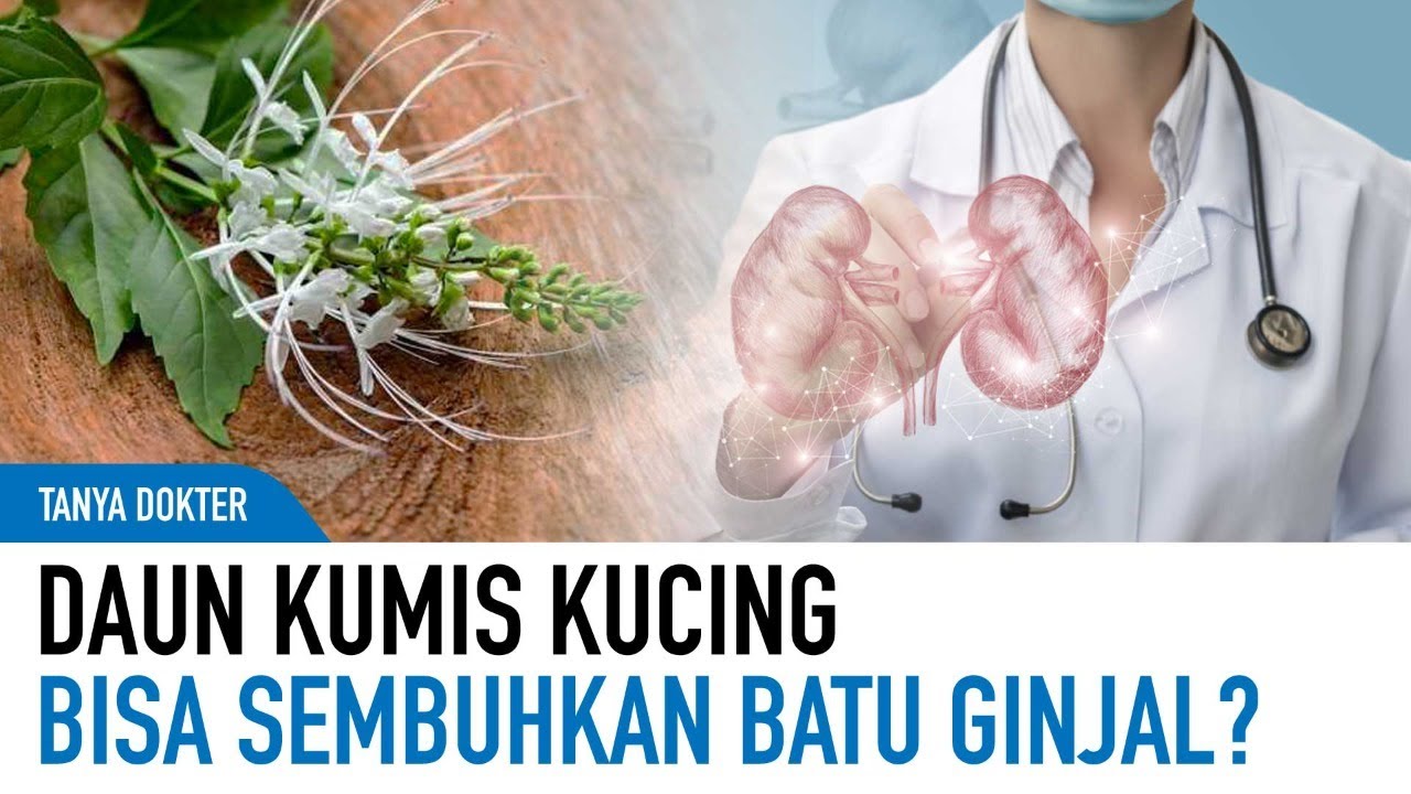 Ragam Khasiat Daun Kumis Kucing Untuk Kesehatan | Kata Dokter 