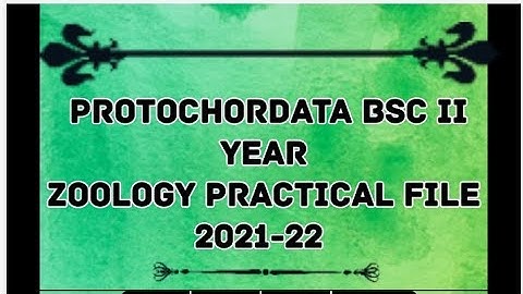 Protochordata , B.s.c. 2nd year zoology practical file with classification .