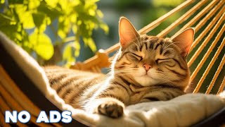 12 Hours Calming Music for Cats - Relaxation, Deep Sleep, Stress Relief, Peaceful Piano Music by Healing Cat Music 18,148 views 2 weeks ago 12 hours
