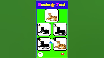 স্মৃতি পরিক্ষা,memory test,#shorts#riddles#Bangla