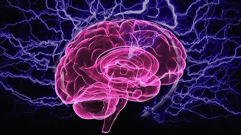 Your brain needs Omega-3 fatty acids to function properly