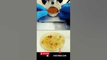 Better Than Mandi Spices!?! No Way!