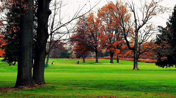 Princeton University usa