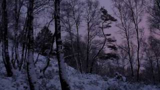 Decembernatt  - Peter Jöback    (slutversion) chords